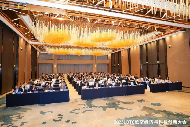 2025LDTC 低空经济与科技创新大会拉开帷幕 长三角共推低空产业一体化布局(图1)