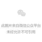 公告1.png